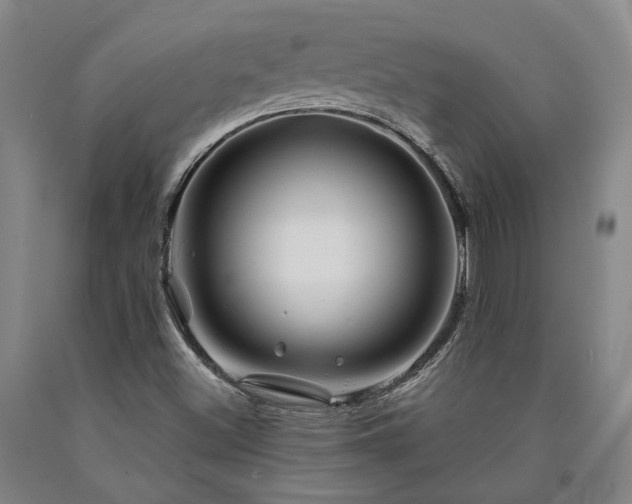 X0000090931500200707301543