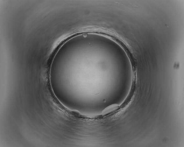 X0000090931501200707301543