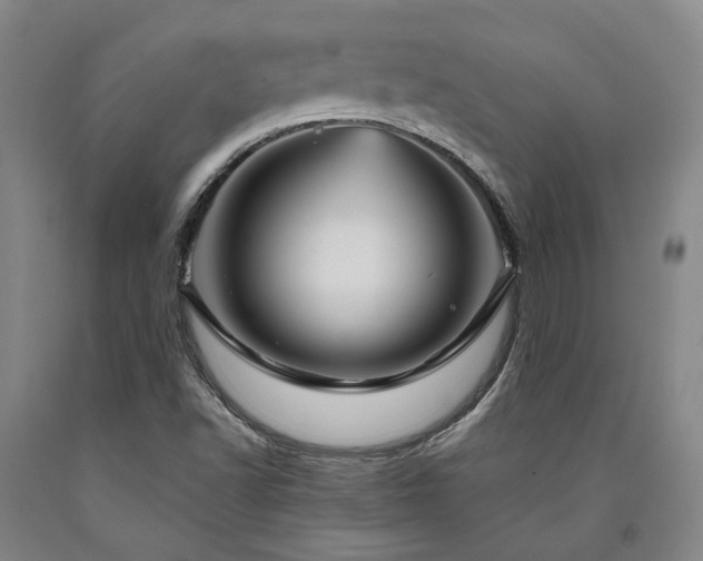 X0000090931502200707301543