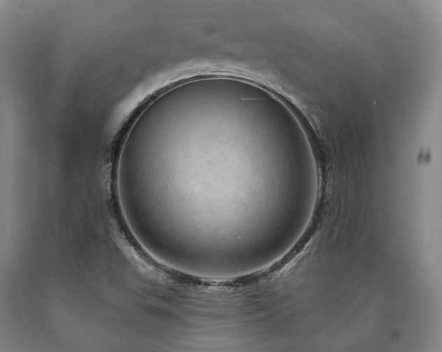 X0000090931503200707301543
