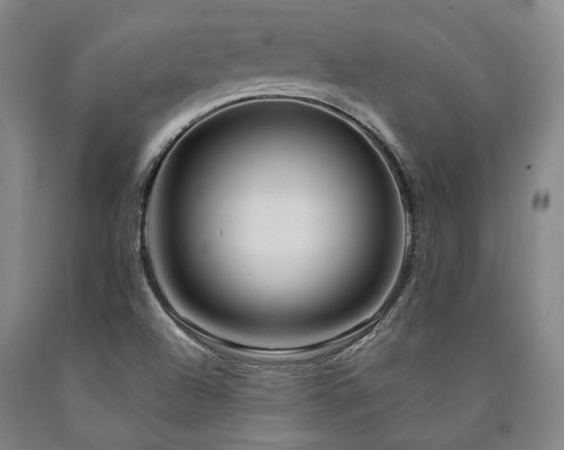 X0000090931504200707301543