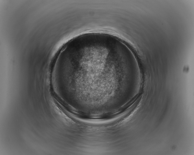 X0000090931506200707301543
