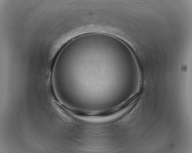 X0000090931507200707301543