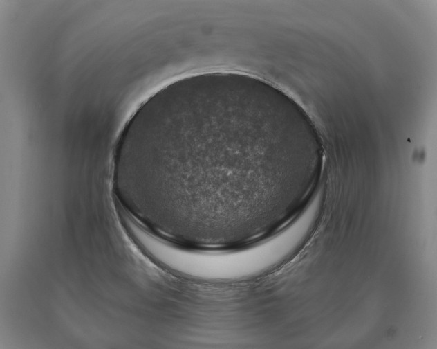 X0000090931508200707301543