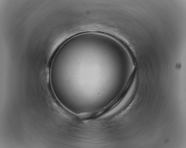 X0000090931509200707301543