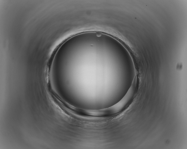 X0000090931510200707301543