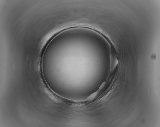 X0000090931511200707301543