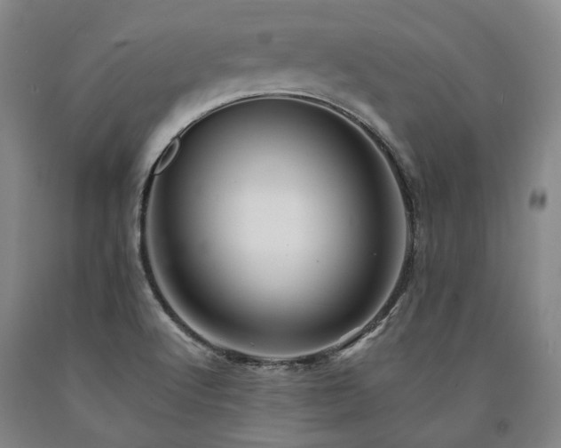 X0000090931512200707301543