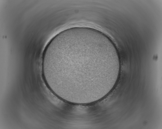 X0000090931514200707301543