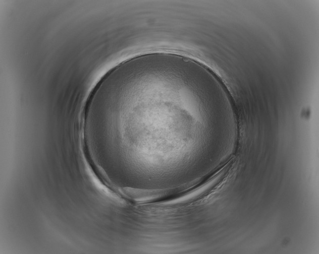X0000090931515200707301543