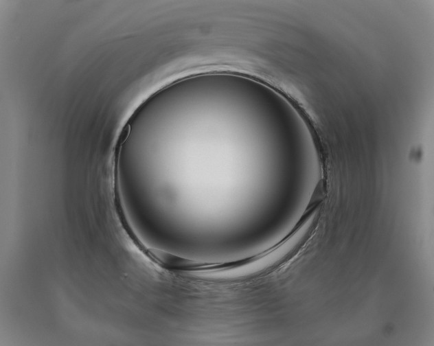 X0000090931516200707301543