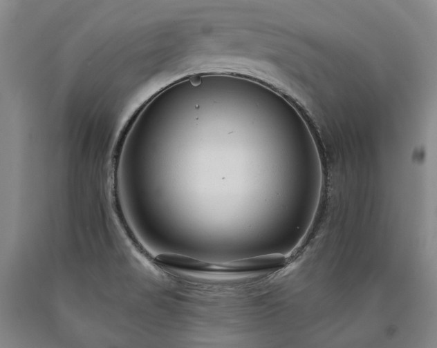 X0000090931517200707301543