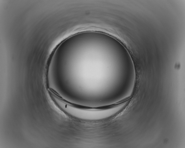 X0000090931518200707301543