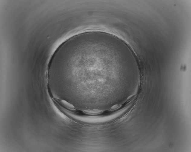 X0000090931519200707301543