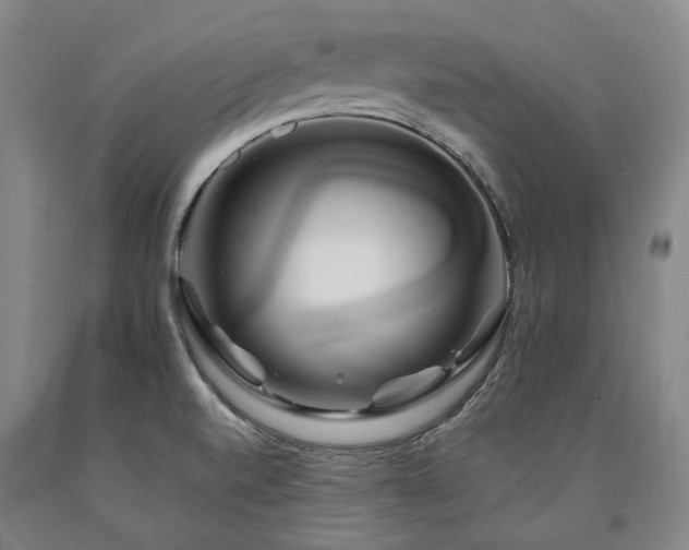 X0000090931520200707301543