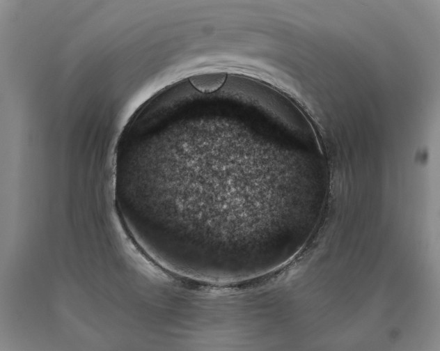 X0000090931522200707301543