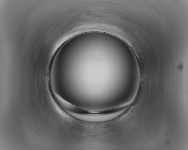 X0000090931523200707301543