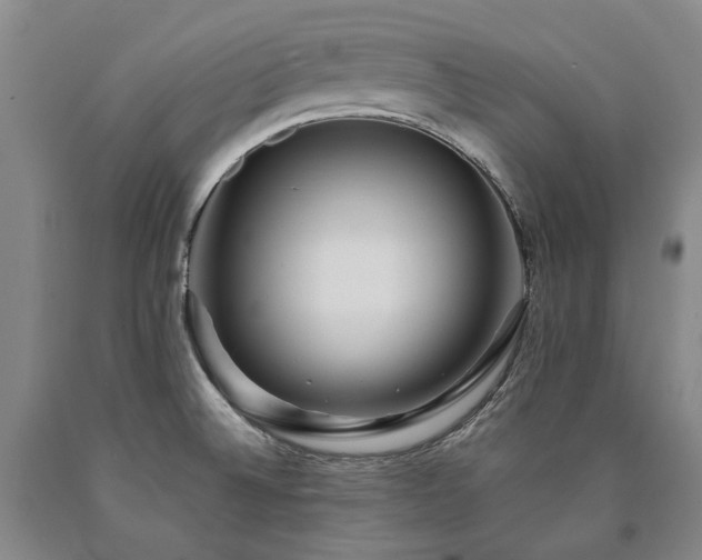X0000090931524200707301543