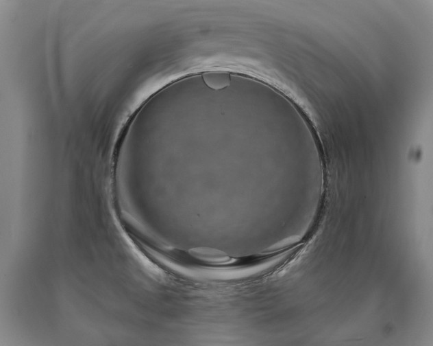 X0000090931525200707301543