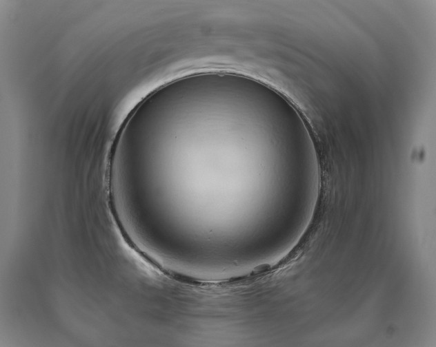 X0000090931527200707301543