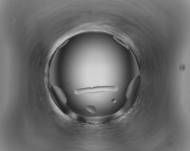 X0000090931528200707301543