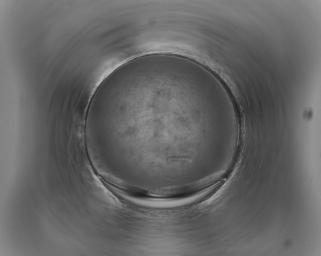 X0000090931529200707301543