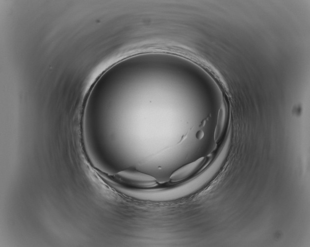 X0000090931530200707301543