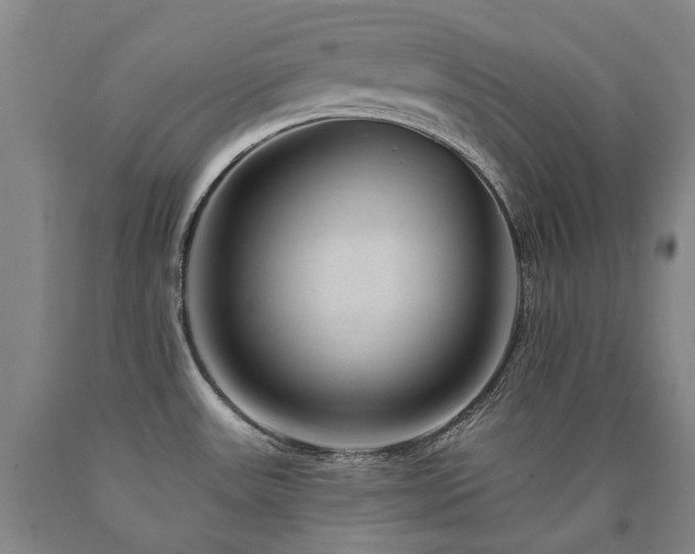 X0000090931531200707301543
