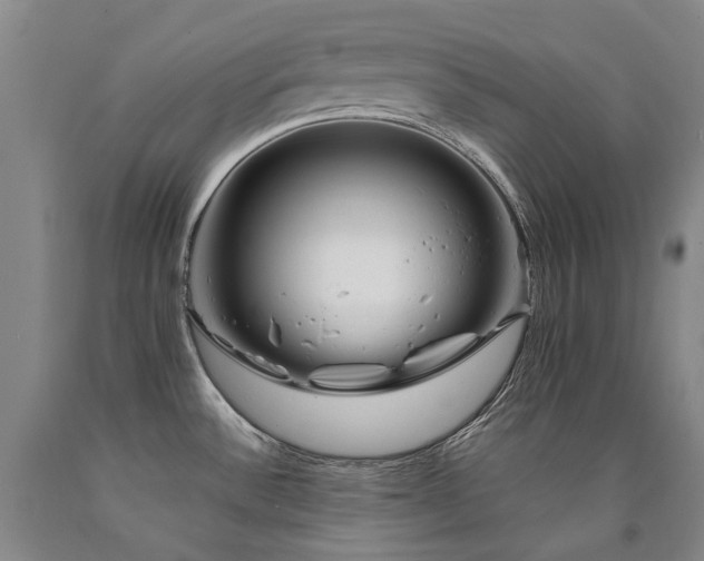 X0000090931532200707301543