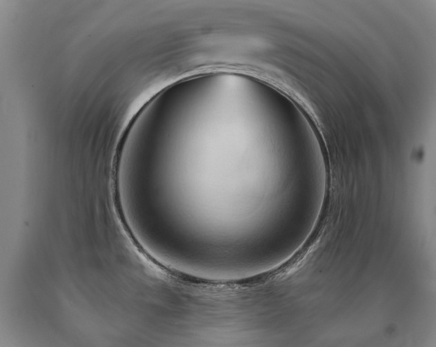 X0000090931533200707301543
