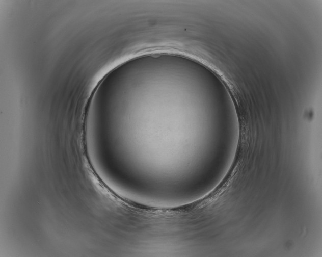 X0000090931534200707301543