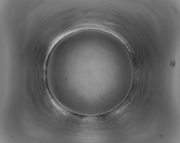 X0000090931535200707301543