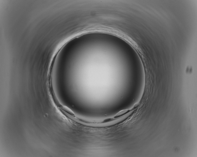 X0000090931536200707301543