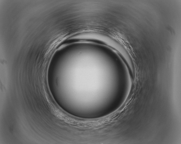 X0000090930001200708061612