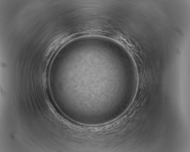 X0000090930002200708061612