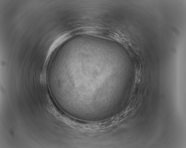 X0000090930004200708061612