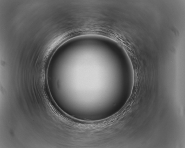 X0000090930005200708061612