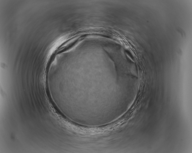 X0000090930006200708061612