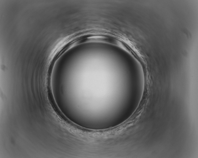 X0000090930007200708061612