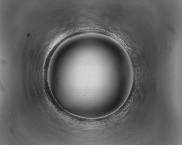 X0000090930008200708061612