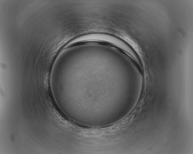 X0000090930009200708061612