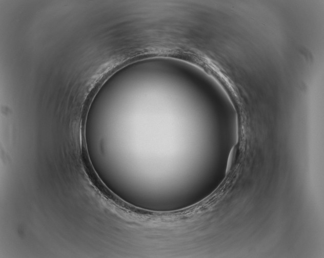 X0000090930011200708061612