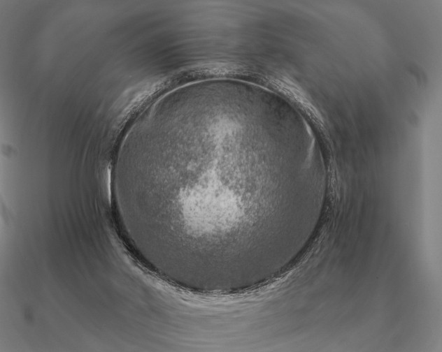 X0000090930014200708061612