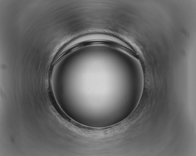 X0000090930015200708061612