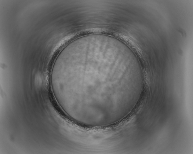 X0000090930016200708061612