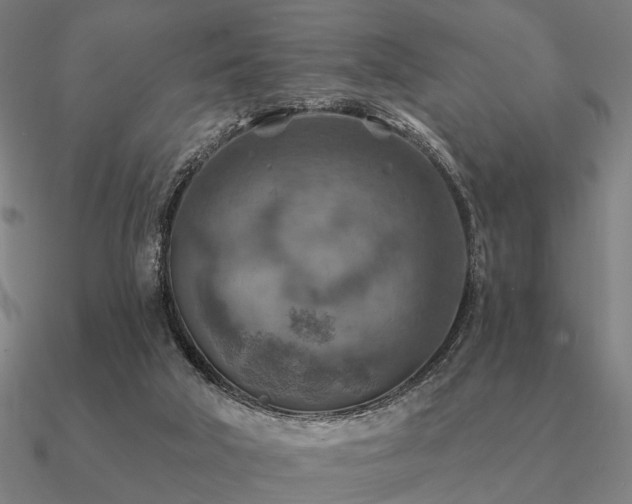 X0000090930018200708061612