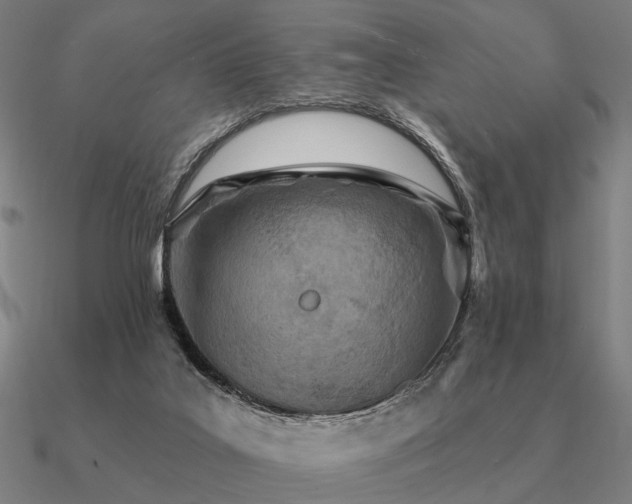 X0000090930019200708061612