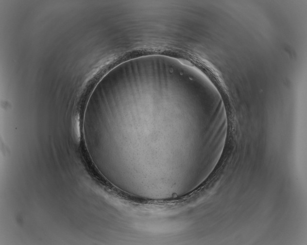 X0000090930020200708061612