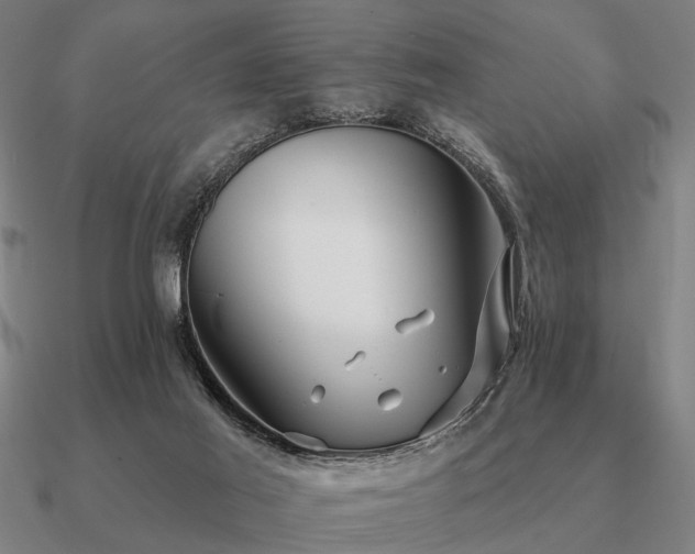 X0000090930021200708061612