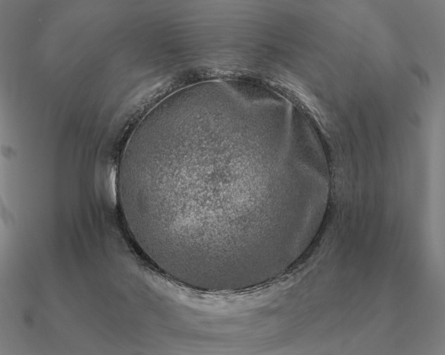 X0000090930022200708061612